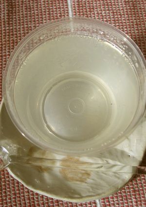 サイダーゼリーに梅酒-レシピのメイン写真