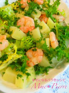 エンダイブとエビのサラダ-レシピのメイン写真