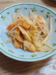 もやしと油揚げのピリ辛炒め★-レシピのメイン写真