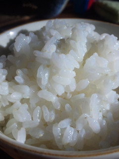 お鍋でふっくらご飯-レシピのメイン写真