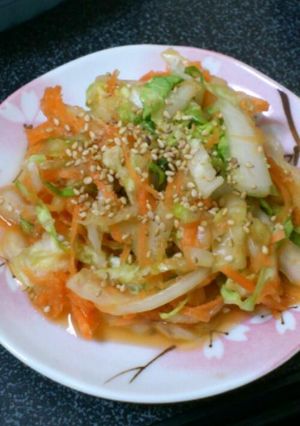白菜とにんじんのサラダ？-レシピのメイン写真