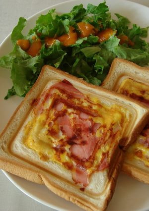 ホットサンドメーカーでクロックムッシュ風-レシピのメイン写真