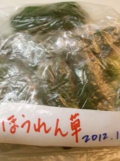 ほうれん草(葉もの野菜)の冷凍 保存方法-レシピのメイン写真