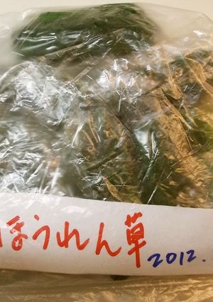 ほうれん草（葉もの野菜）の冷凍　保存方法-レシピのメイン写真