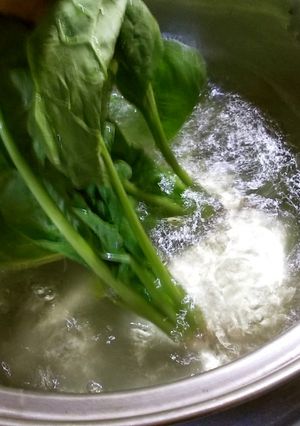 ほうれん草（葉もの野菜）のこだわり茹で方-レシピのメイン写真