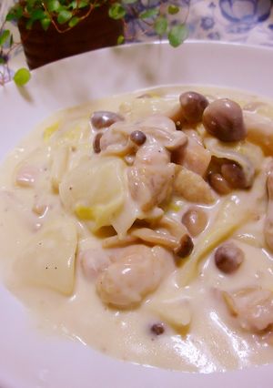 簡単牛乳❤鶏肉❤しめじ❤白菜のクリーム煮-レシピのメイン写真