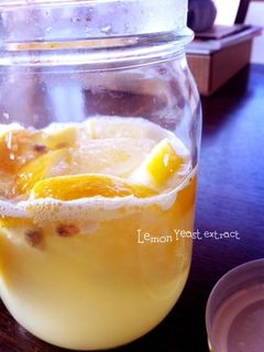 自家製レモン酵母-レシピのメイン写真
