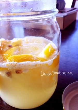 自家製レモン酵母-レシピのメイン写真