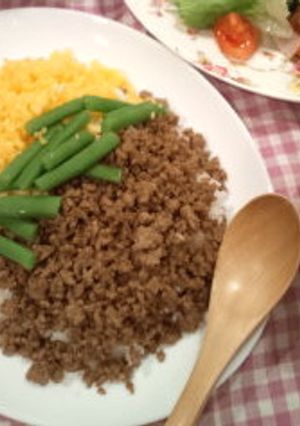 大大好物☆★そぼろごはん-レシピのメイン写真