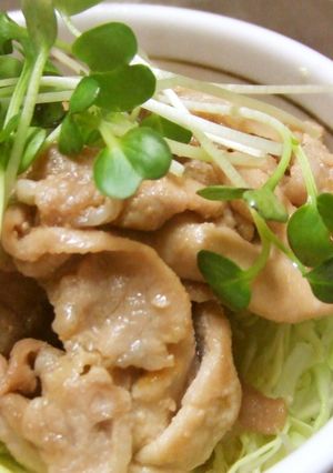 定番の味♡生姜焼きどんぶり-レシピのメイン写真