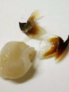 烏賊(イカ)の ”くち” を食する-レシピのメイン写真