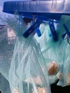 切り干し大根作り方 こんなやり方考えた-レシピのメイン写真