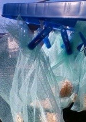 切り干し大根作り方　こんなやり方考えた-レシピのメイン写真