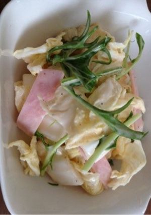 シャキシャキ白菜サラダ-レシピのメイン写真