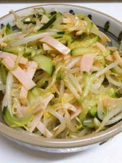 これだけで!モヤシの中華風サラダ-レシピのメイン写真