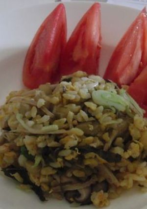 牛蒡炒飯-レシピのメイン写真