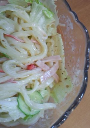 Theうどんサラダ☆-レシピのメイン写真