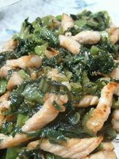 豚肉と高菜の炒め物-レシピのメイン写真