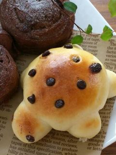 子どもと作る☆手ごねパン♪-レシピのメイン写真