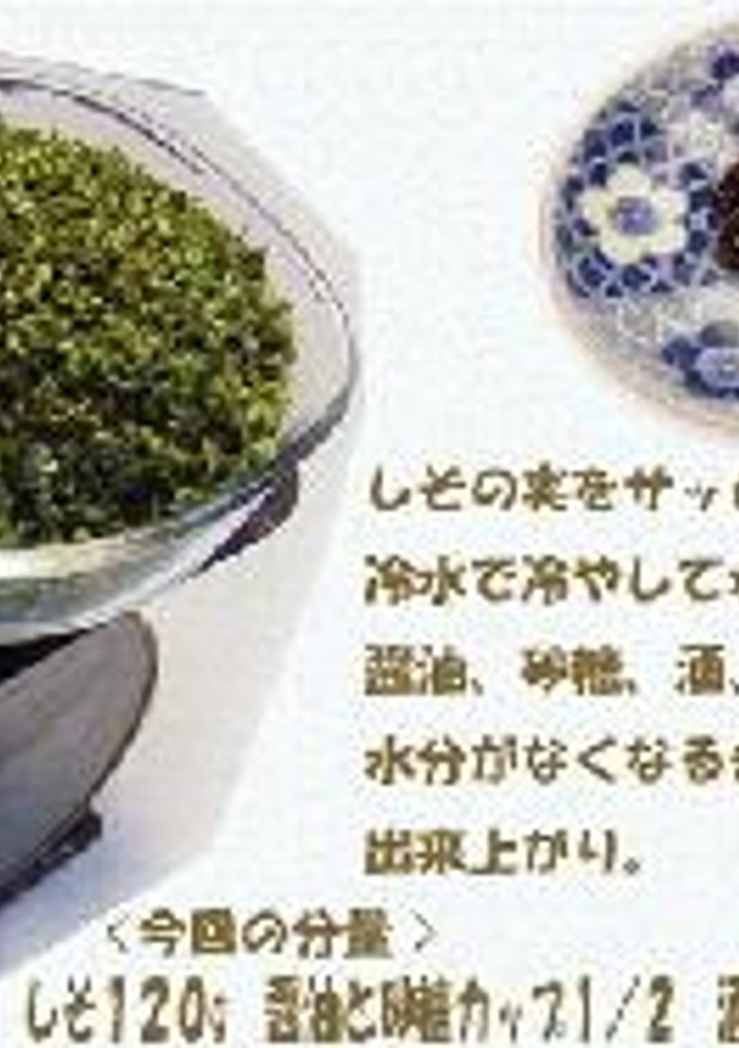 しその実の佃煮-レシピのメイン写真