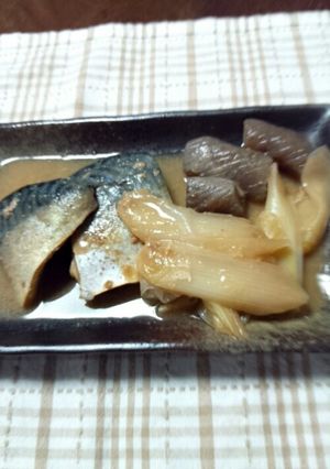 我が家の鯖の味噌煮-レシピのメイン写真