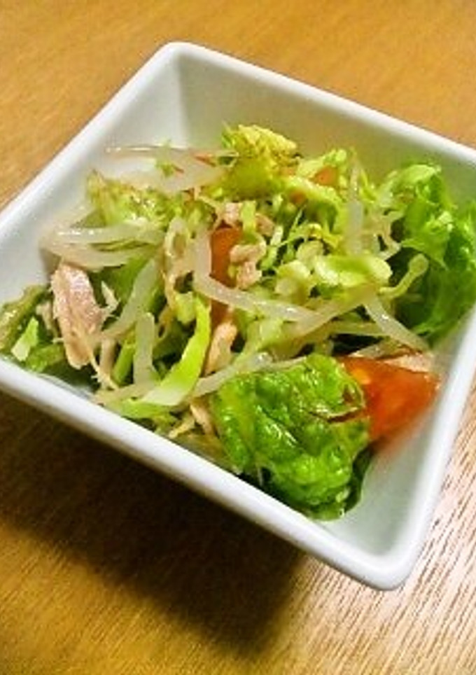 もやしとレタスの彩りサラダ♪-レシピのメイン写真