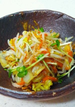 もやしと白菜のごま和え-レシピのメイン写真