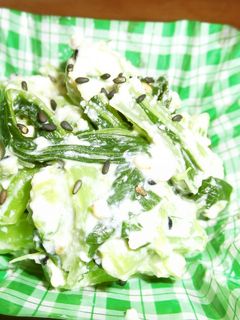 アスパラ菜の白和え-レシピのメイン写真