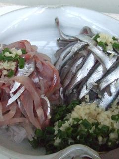 生姜たっぷり鯵のタタキひと手間で黄金の味-レシピのメイン写真