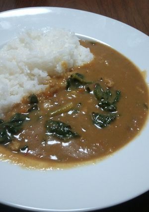 ちぢみほうれん草のクリーミーカレー-レシピのメイン写真
