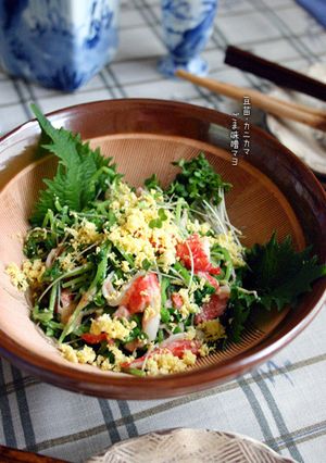 春【豆苗・カニカマ。ごま味噌マヨ和え】-レシピのメイン写真
