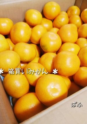 箱買いみかんを最後まで美味しく🍊-レシピのメイン写真