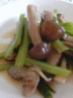 小松菜とキノコのサッパリ煮☆ごま油風味-レシピのメイン写真