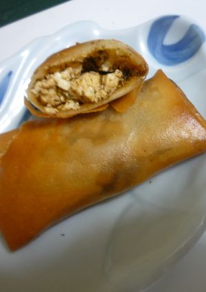 お豆腐の揚げ春巻き-レシピのメイン写真