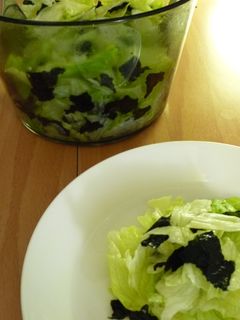 レタスと海苔のサラダ-レシピのメイン写真