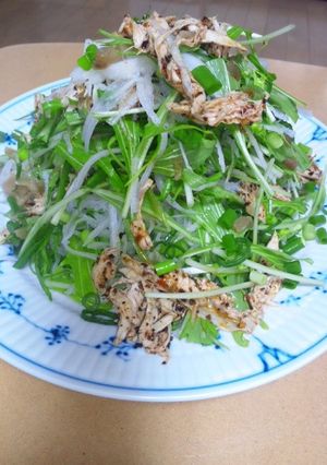 大根ダイエット！ささみと香味野菜サラダ。-レシピのメイン写真