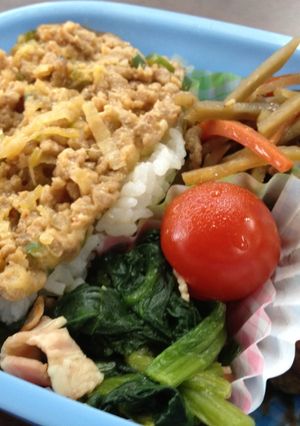 お弁当♡冷凍保存　甘辛ねぎ肉味噌-レシピのメイン写真