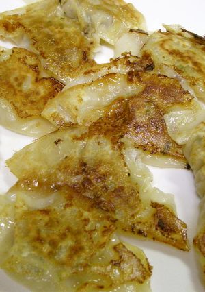 白菜で美味しい餃子-レシピのメイン写真