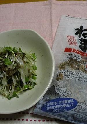 大根カイワレねこぶまんまで☆酢のもの-レシピのメイン写真