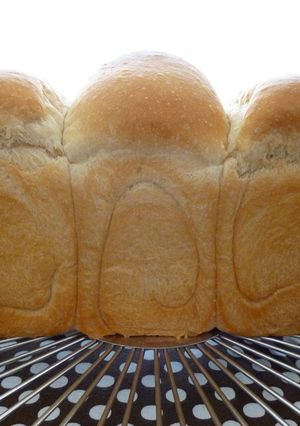 全粒粉のふんわり食パン-レシピのメイン写真