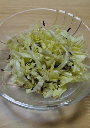 キャベツと生姜と塩昆布のサラダ-レシピのメイン写真