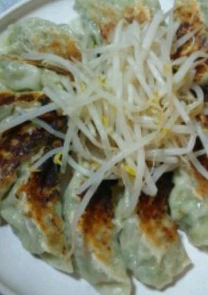 たくさん食べちゃう♪チーズ餃子-レシピのメイン写真