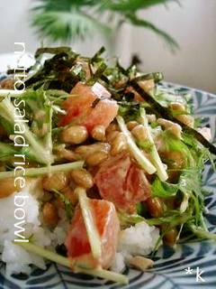 納豆サラダご飯-レシピのメイン写真