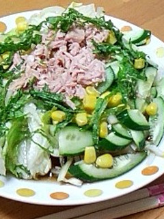 【簡単】さっぱりサラダうどん-レシピのメイン写真
