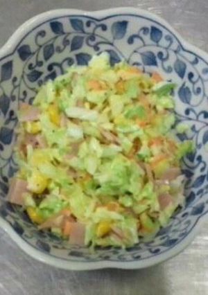 レンジで柔らかコールスローサラダ-レシピのメイン写真