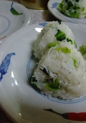 広島菜としらすのおにぎり-レシピのメイン写真