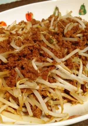 ムシャムシャ食べて節約♪もやし挽肉炒め-レシピのメイン写真