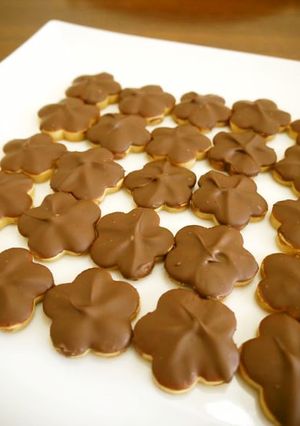 梅の模様が可愛い✿チョコレートクッキー♪-レシピのメイン写真