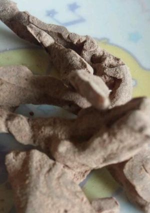いよかんピールのチョコ-レシピのメイン写真