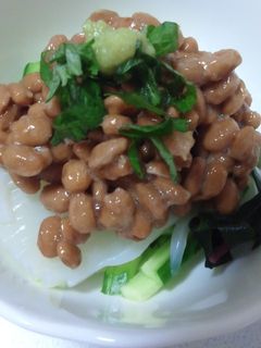 美味しいよ〜☆ ちゃちゃっとイカねば小鉢-レシピのメイン写真